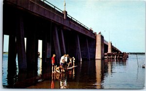 M-67851 Catwalk North of U S Highway 50 Bridge at Ocean City Maryland