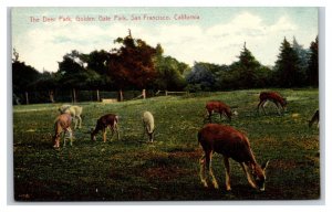 Deer Park Golden Gate Park San Francisco California UNP DB Postcard T1