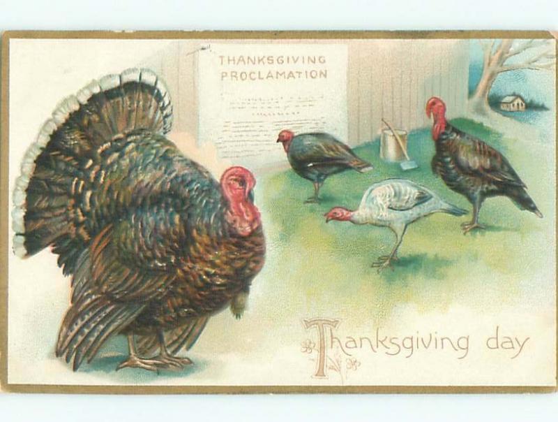 Divided-Back THANKSGIVING SCENE Great Postcard AA0547