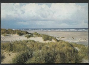 Netherlands Postcard - Groeten Van Het Eiland Texel  LC4212