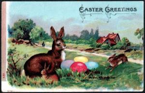 Easter Bunnies Embossed Picture Postcard!