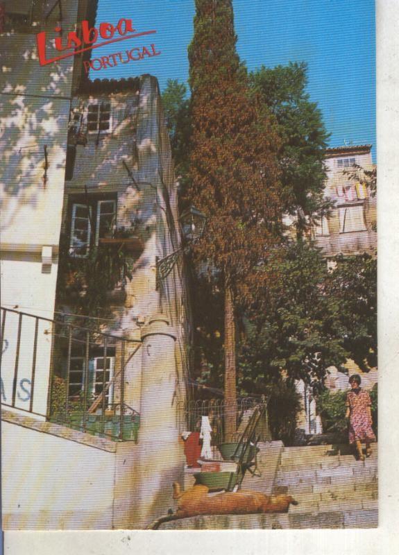 Postal 013835: Rua tipica de Alfama, Lisboa, portugal