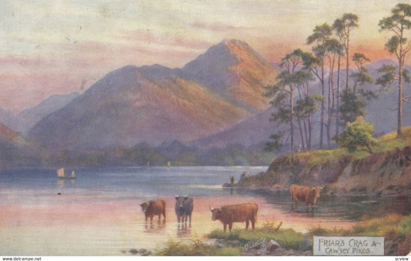 Frairs Cove, Cawsey Pikes, DERWENTWATER, 1908; TUCK 7324