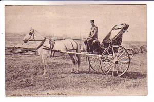 Caleche, White Horse, Quebec, Canadian Pacific Railway