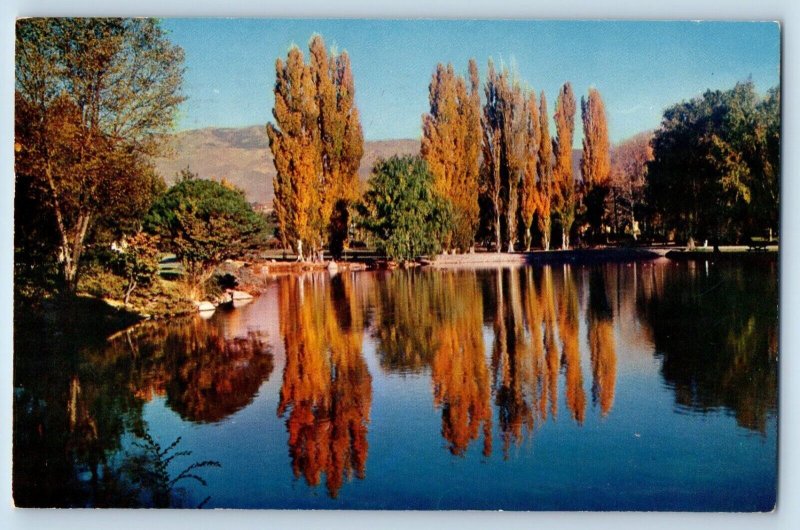 Reno Nevada NV Postcard Nature's Autumn Paint Brush Idlewild Park c1956 Vintage