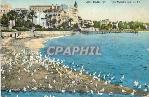 Postcard The Old Cannes Gulls