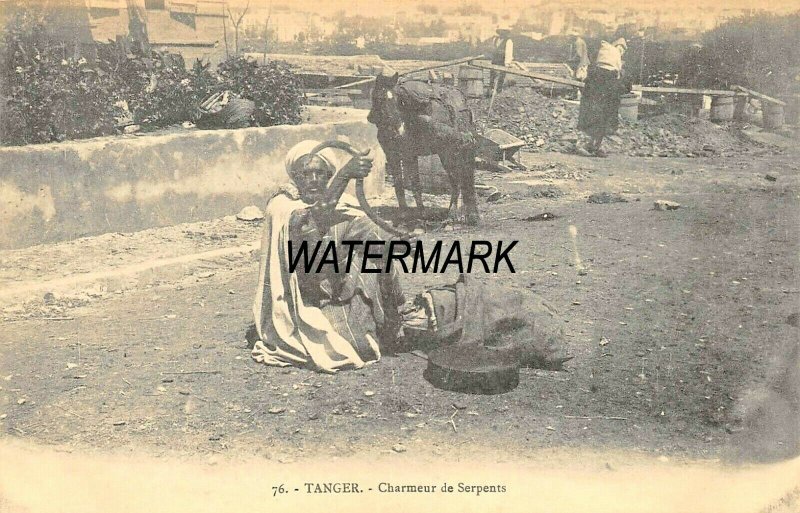 TANGER MOROCCO AFRICA~CHARMEUR de SERPENTS-SNAKE CHARMER~1910s PHOTO POSTCARD