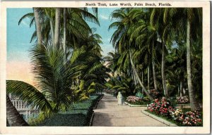 View of North Trail, Lake Worth, Palm Beach FL Vintage Postcard D64