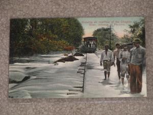 Showing an Overflow of the Chagrea River, Isthmus of  Panama,  Unused