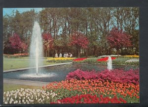 Netherlands Postcard - Bloemenland - Land of Flowers  RR7420