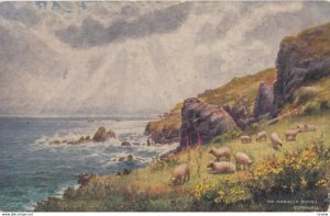 CORNWALL, The Manacle Rocks, 1900-10s; TUCK 7117
