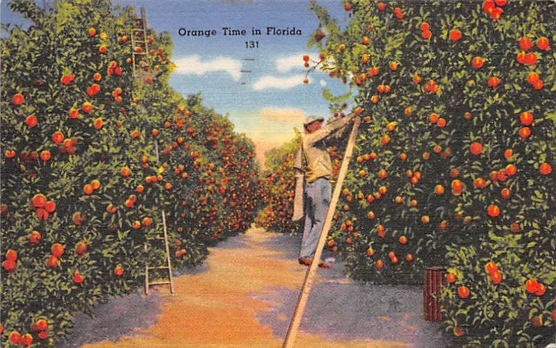 Orange Time Florida, USA Fruit Assorted 1957 