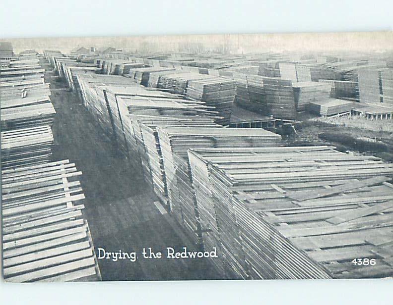 Unused Divided-Back DRYING REDWOOD LUMBER State Of California c6888