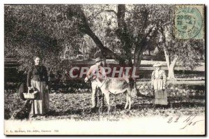 In Provence - ass - donkey - Old Postcard