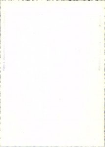 Aerial View Malta Coastline Continental Chrome B & W Postcard