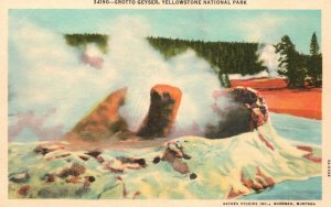 Vintage Postcard Grotto Geyser Yellowstone National Park Eruption Haynes Studios