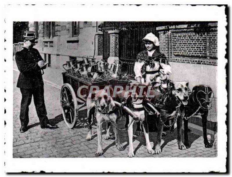 Modern Postcard Brugge Bruges Flemish Vlaamse Melkvrouw Laitiere car has dogs