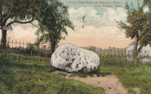 Near TOLEDO, Ohio, PU-1909; Turkey Foot Rock On Maumee River