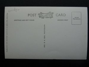 Devon ASHBURTON Holne Bridge - Old RP Postcard by Harvey Barton 46322