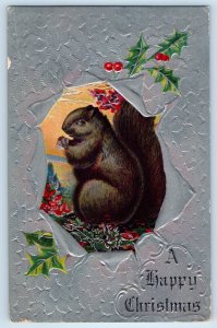 c1910's Christmas Squirrel Holly Berries Embossed St. Paul Minnesota MN Postcard