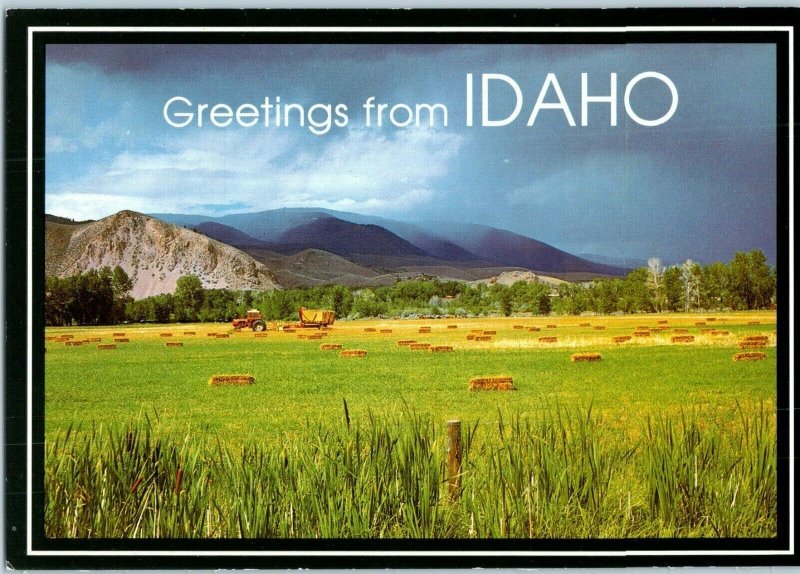 Harvest on the Farmlands Idaho Postcard