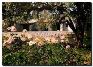 Modern Postcard Corsica Island of Beauty Remembrance C.C.A.S. the Holiday Cen...