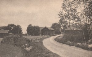 Pathway Through Residential Houses Along Trees Trails Vintage Postcard