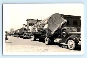 c.1940 GIANT FIR LOG TRUCKS Snohomish WA Ellis #1504 RPPC Real Photo Postcard 