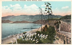 Vintage Postcard Palisades Santa Monica California CA Ocean Cliff Pub. Kashower