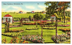 Postcard GARDEN SCENE Allentown Pennsylvania PA AR5875