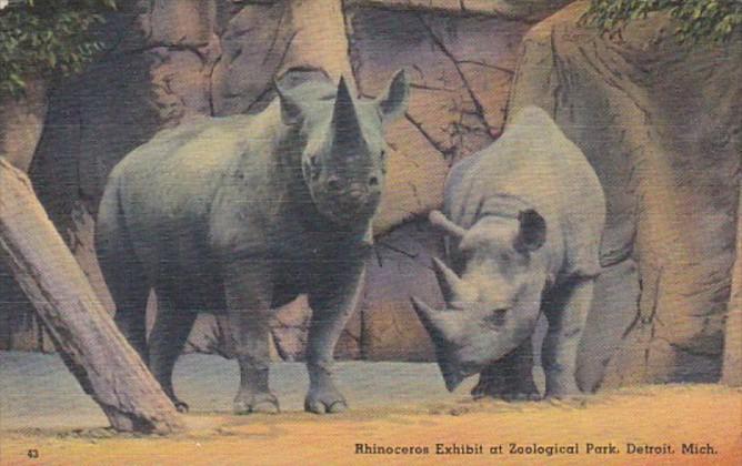 Michigan Detroit Rhinocerus Exhibit In Zoological Park