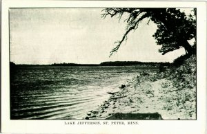 View of Shoreline, Lake Jefferson, St. Peter MN Vintage Postcard E72