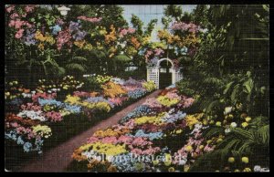 Interior of Greenhouse - Shaw's Garden