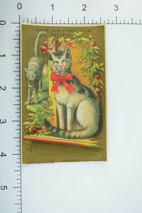 1870's-80's Synopsis Tommy Cat New York Victorian Trade Card P59