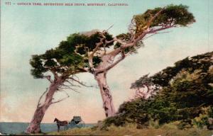 California, Monterey