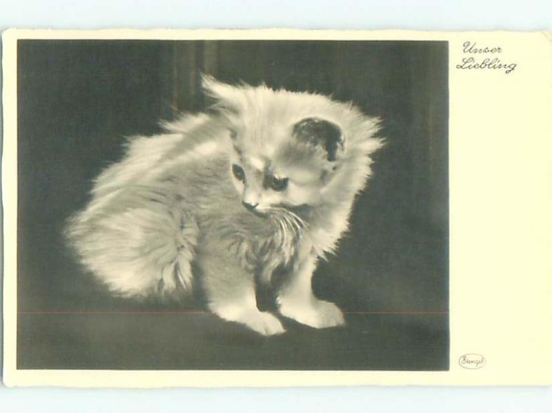 rppc 1930's ADORABLE KITTEN LOOKING BACK AC8838