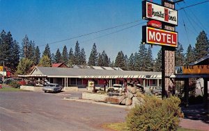 Burney, California SHASTA PINES MOTEL Roadside c1960s Chrome Vintage Postcard