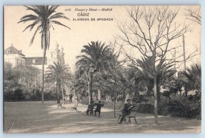 Cadiz Andalusia Spain Postcard Apodaca Promenade c1910 Unposted Antique