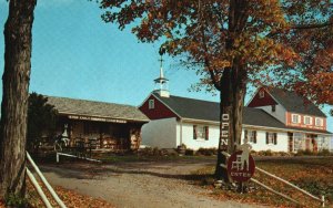 Vintage Postcard Lennox Shops Mt. Airy Lambertville New Jersey Long Island NY