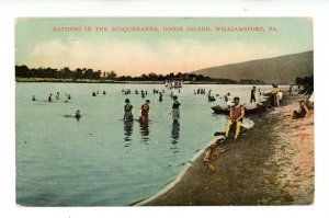 PA - Williamsport. Susquehanna River, Goose Island