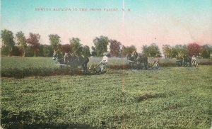 New Mexico Pecos Valley Mowing Alfalfa Postcard 22-1727