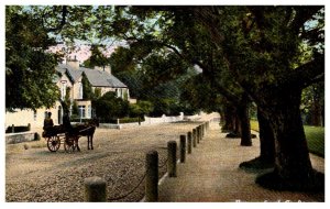 Northern Ireland  Bryansford Co. Down