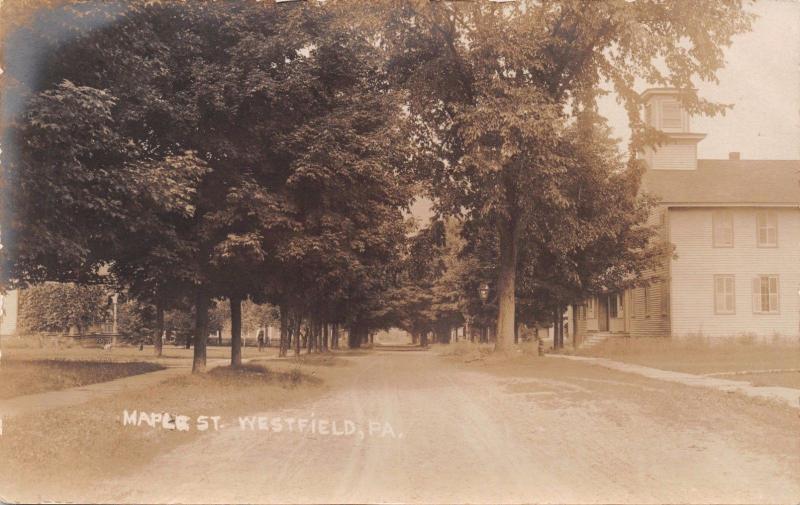 WESTFIELD PENNSYLVANIA TREE LINED MAPLE STREET~REAL PHOTO POSTCARD 1910s