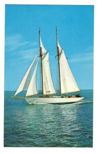 Seventy-Two Foot Schooner, Cape Cod Waters, Massachusetts