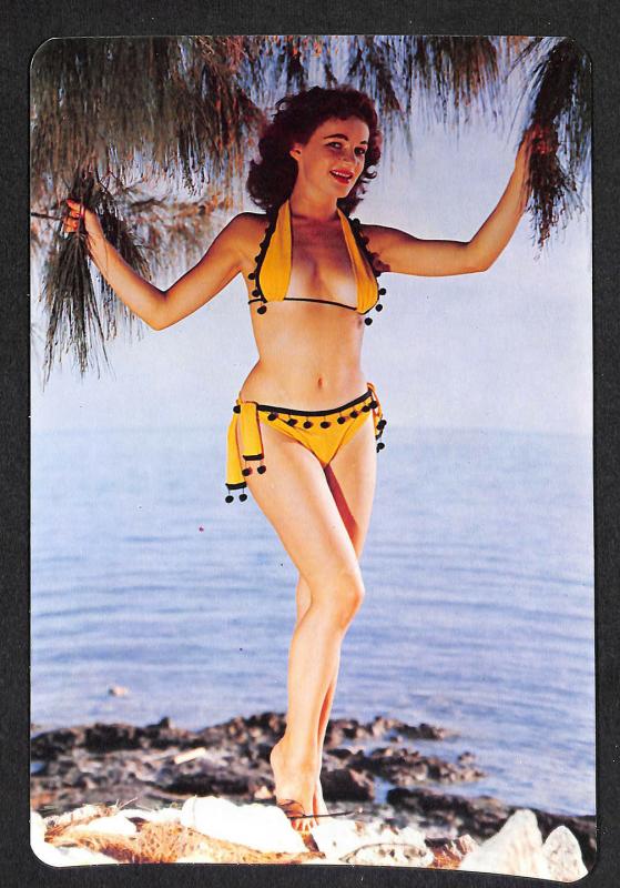 A Miss by the Sea Bathing Suit Beaty Pin-Up 6 x 9 Postcard