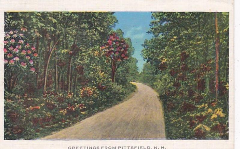 New Hampshire Greetings From Pittsfield 1936