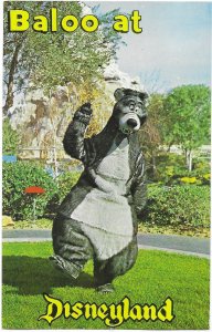 US unused card - Disneyland - Baloo the Bear, posing for his friends.