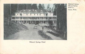 Carson Washington Mineral Springs Hotel Vintage Postcard AA50106