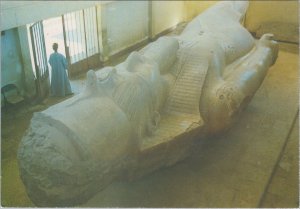 Egypt Postcard - Limestone Statue of Ramses II, 19th Dynasty  RR19722