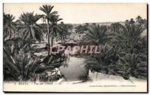 Postcard Old Nafta View the Oued Tunisia
